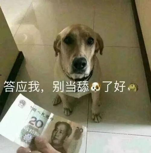 离婚后，陆总舔狗上身帮我提鞋,竟为前妻提鞋