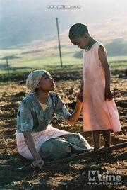 永不遗忘的美丽