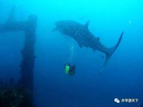 拖网渔船：捕鱼日记 第一季,第一季：海洋的呼唤与挑战