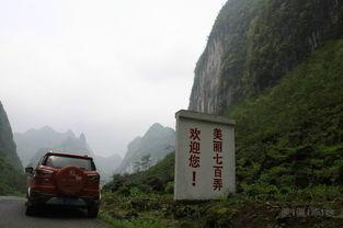 心跳一线间,揭秘生命律动的奥秘