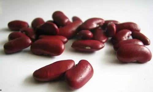 一颗红豆,一颗红豆的传奇之旅